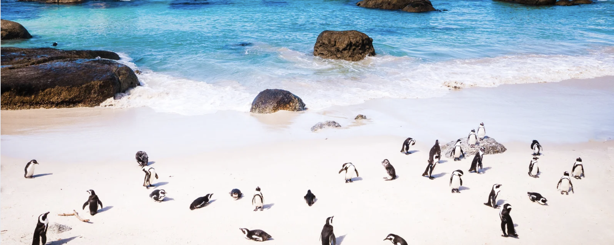 capetown_3